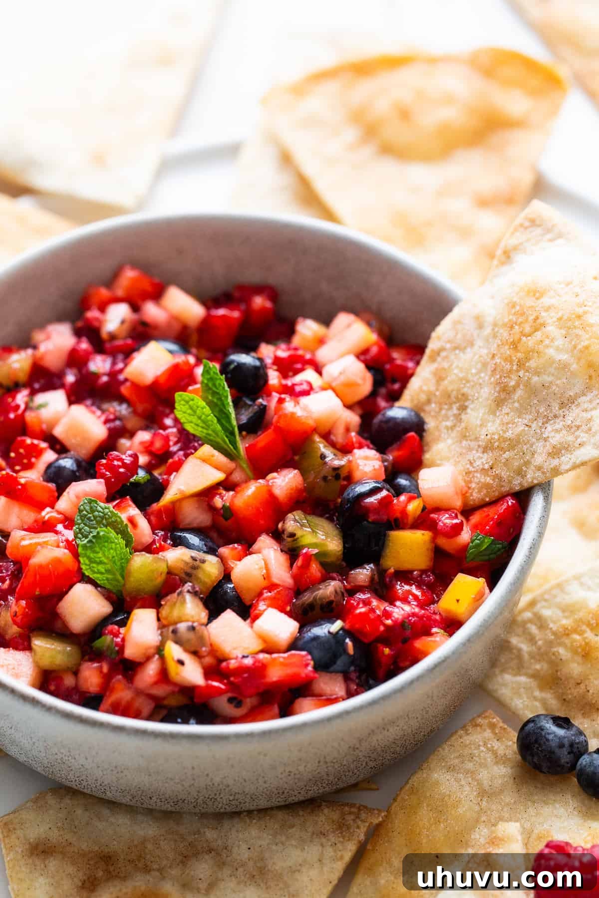 Vibrant Fruit Salsa 7 A cinnamon chip scooping some fruit salsa from a serving bowl.