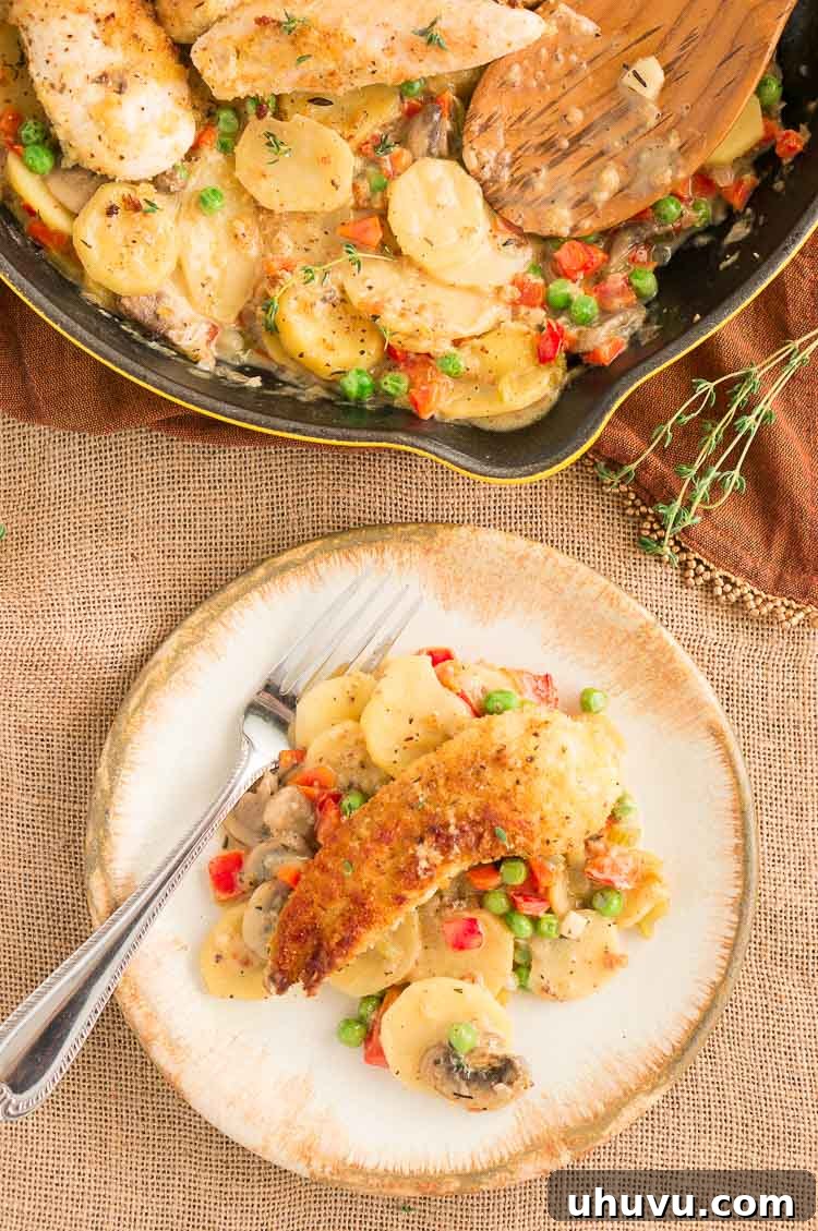 Hearty Homestyle Chicken Skillet 5 Pan-fried chicken tenderloins for a wholesome dinner.