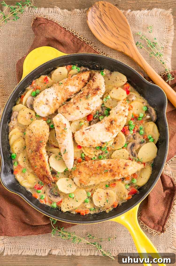 Hearty Homestyle Chicken Skillet 7 Country Chicken Skillet Recipe - Full spread of the healthy, quick dinner.
