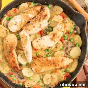Country Chicken Skillet Recipe - Overview image