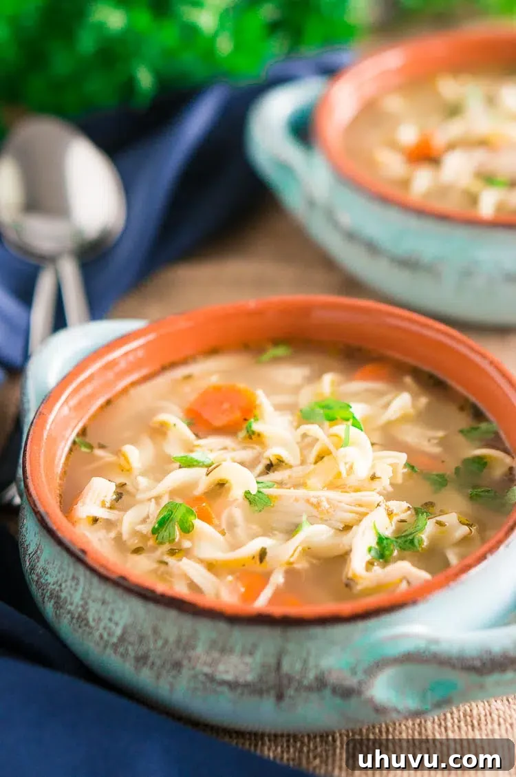 Instant Pot Chicken Noodle Soup in a bowl with lemon and herbs.