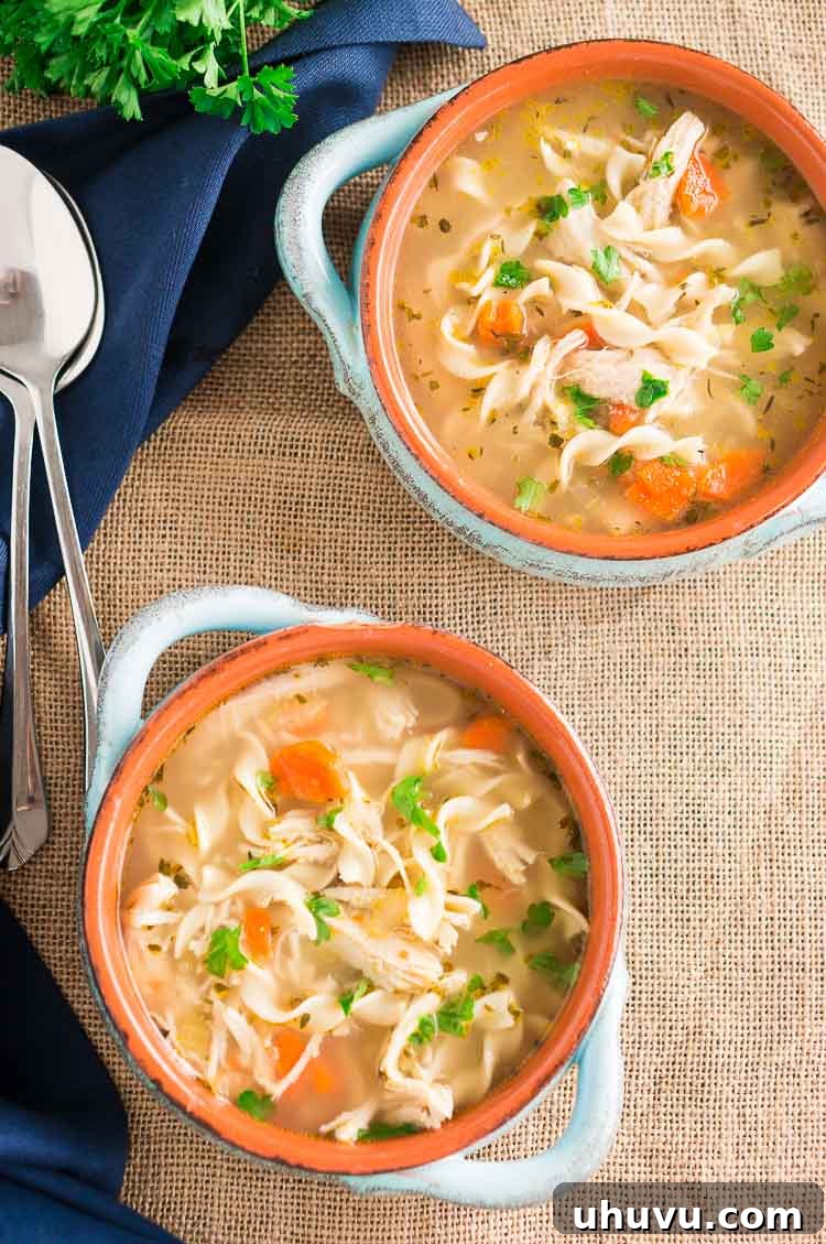 Instant Pot Chicken Soup Recipe with shredded chicken.