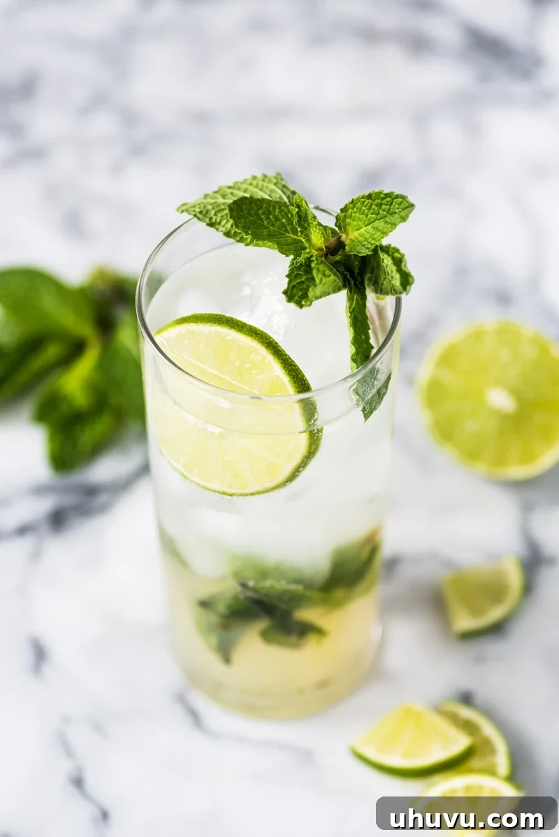 The Perfect Classic Mojito 3 A mojito cocktail in a tall clear glass topped with mint leaves and limes, presented elegantly.
