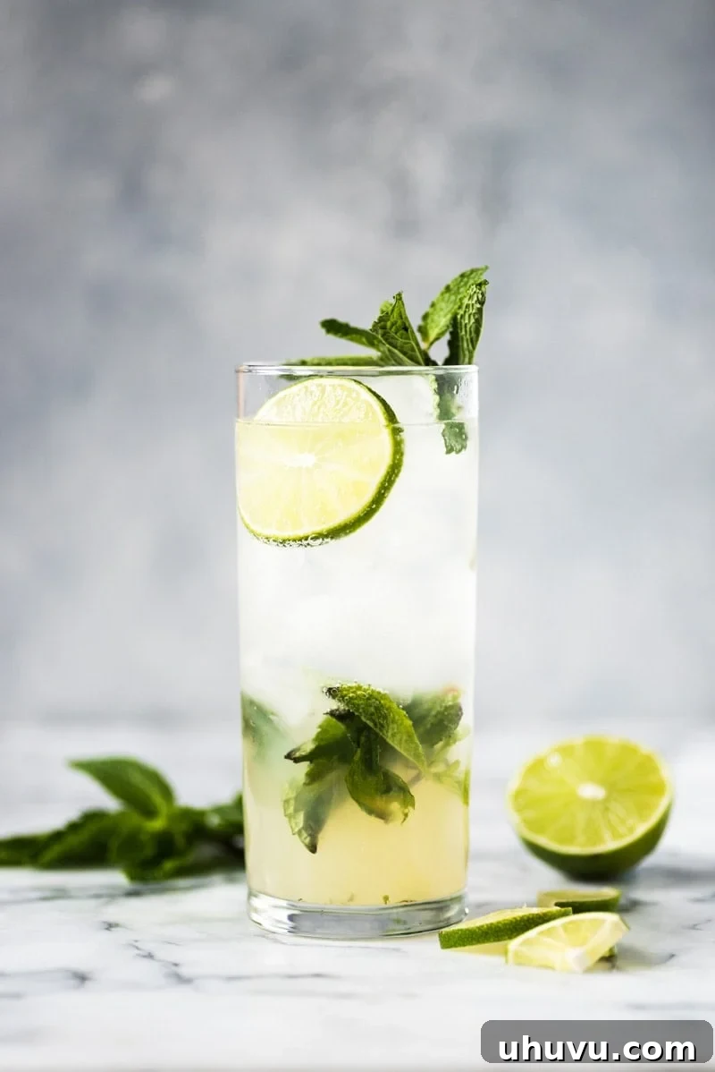 The Perfect Classic Mojito 4 A classic mojito cocktail in a tall glass filled with ice, garnished with lime and mint.