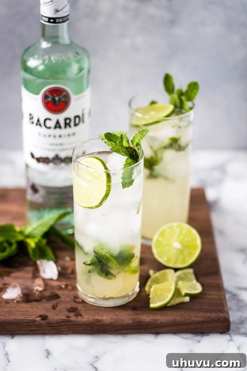 The Perfect Classic Mojito 5 Two glasses of mojitos with accompaniments surrounding it, ready to be enjoyed.