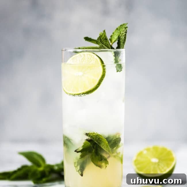The Perfect Classic Mojito 6 side shot of a mojito in a glass