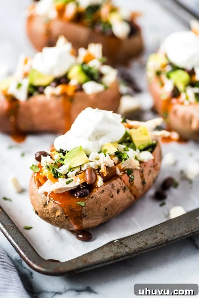 Enchilada Stuffed Sweet Potato Boats 2 Delicious Chicken Enchilada Stuffed Sweet Potatoes on a plate, ready to be enjoyed, showcasing the vibrant toppings and rich sauce.