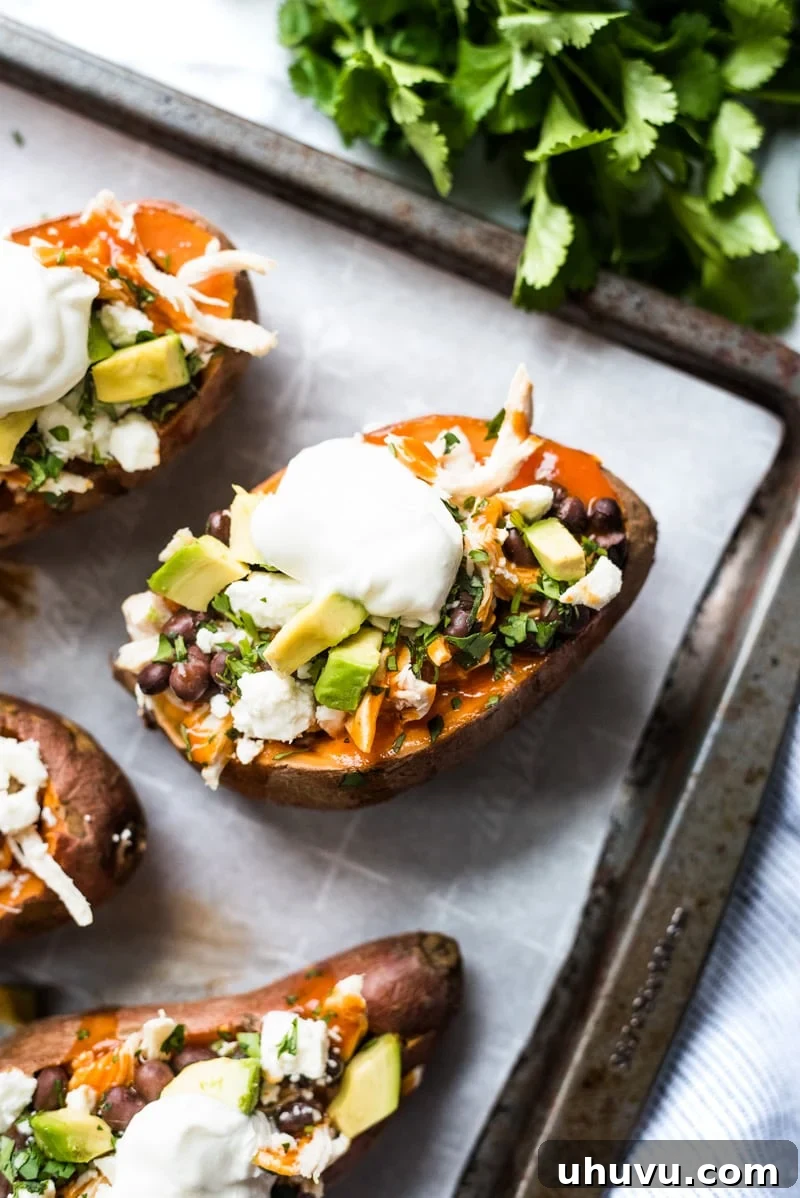 Enchilada Stuffed Sweet Potato Boats 3 Close-up of a halved Chicken Enchilada Stuffed Sweet Potato, revealing the chicken, black beans, and colorful toppings inside.