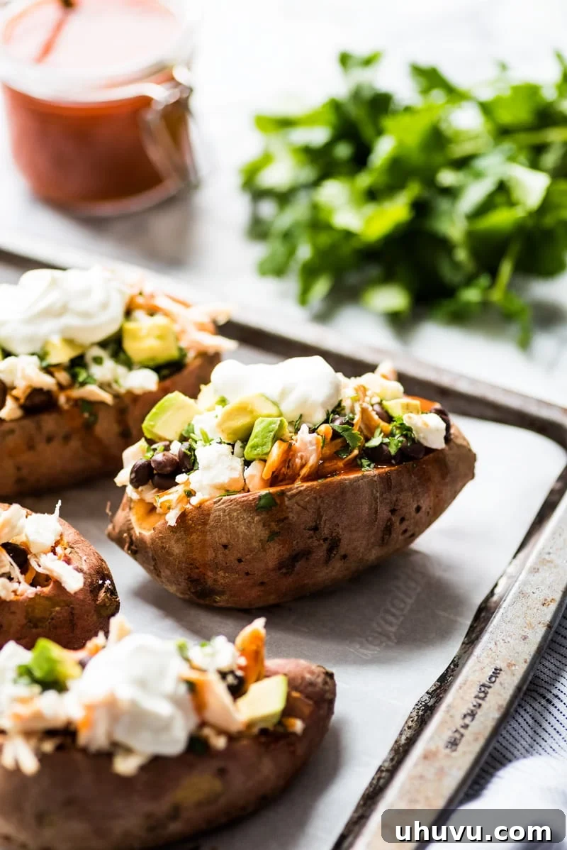 Enchilada Stuffed Sweet Potato Boats 4 Multiple Chicken Enchilada Stuffed Sweet Potatoes arranged on a baking sheet, showcasing their hearty appearance.