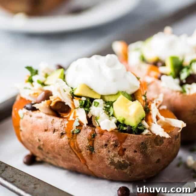 A beautifully presented Chicken Enchilada Stuffed Sweet Potato, topped with fresh cilantro and sour cream.