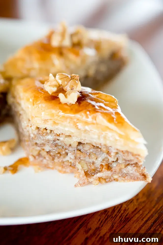 Delicious Homemade Baklava Piece