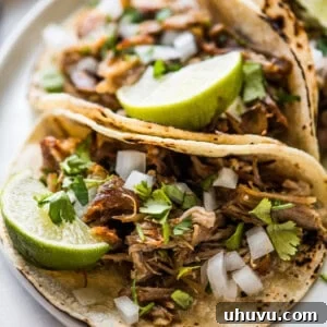 Carnitas (Mexican slow cooked pulled pork) in a corn tortilla topped with onion, cilantro, and lime.