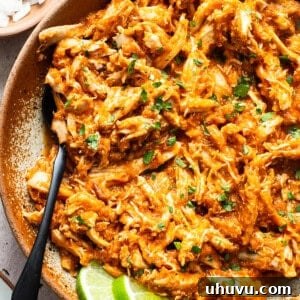 Chicken tinga topped with chopped cilantro.