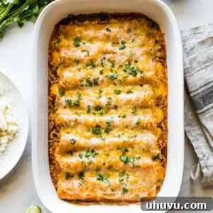 Chicken enchiladas in a baking dish topped with cilantro.