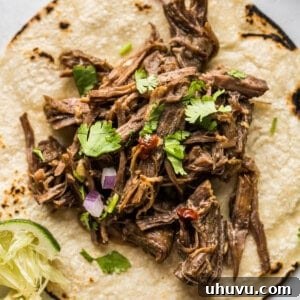 Barbacoa, slow-cooked beef, ready to be served.