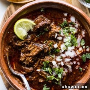 A bowl of beef birria topped with chopped cilantro, onions, and a lime wedge.
