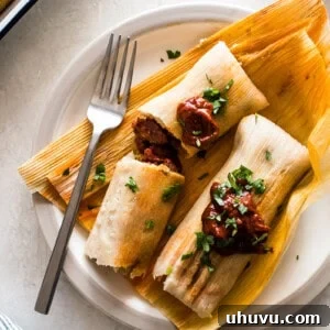 Learn how to make tamales right at home with these simple step-by-step instructions! This authentic Mexican tamales recipe is filled with tender pieces of pork simmered in a delicious red chile sauce wrapped in a soft and fluffy masa dough.