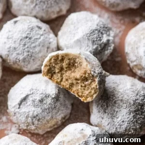 Mexican Wedding Cookies on a plate with one cookie with a bite taken out.