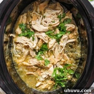 Salsa verde chicken in a slow cooker crock pot with fresh cilantro.