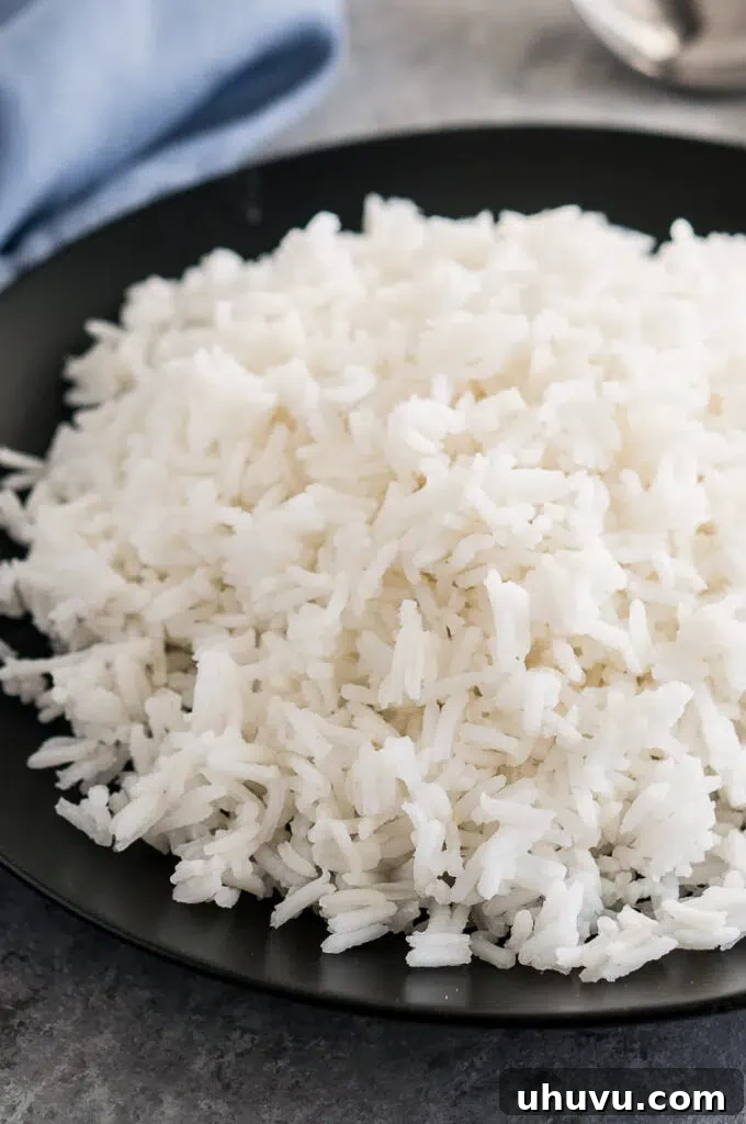 A perfectly cooked bowl of rice on a white plate, ready to be served.