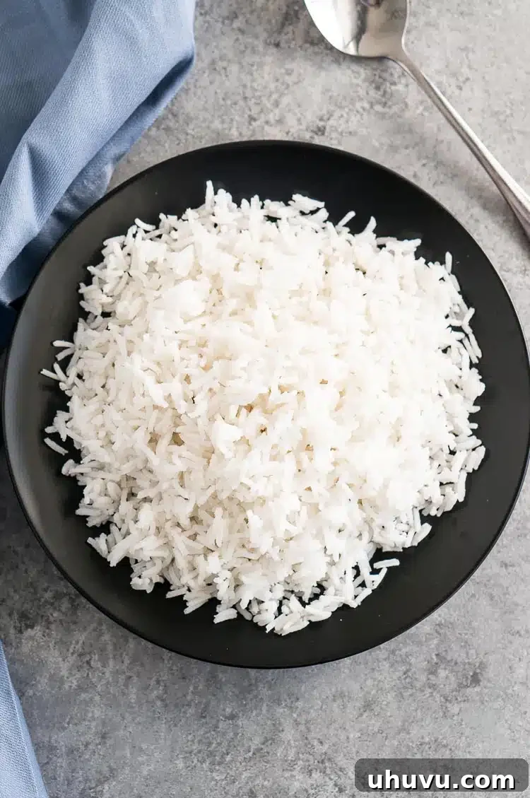 A bowl of fluffy white rice served on a black plate, with a spoon ready for eating.