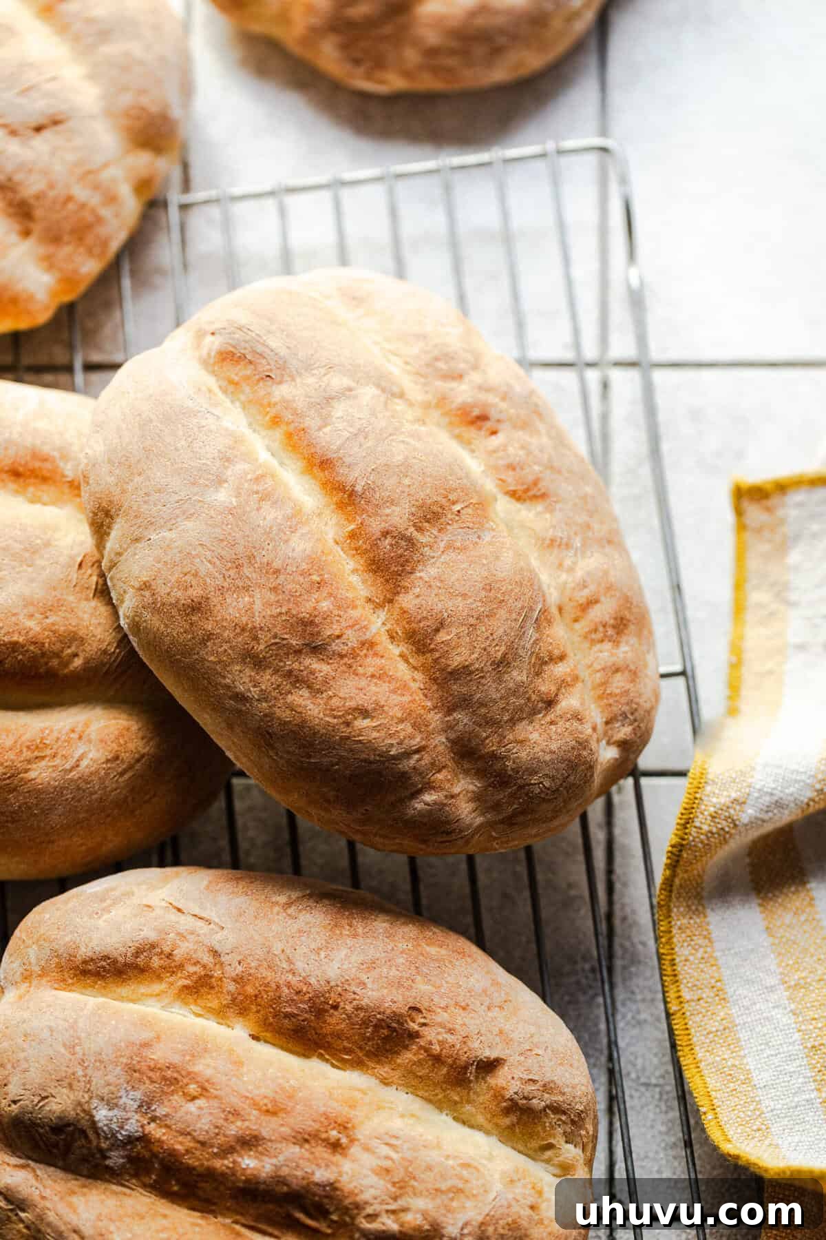 Golden brown Telera bread rolls coming out of the oven.