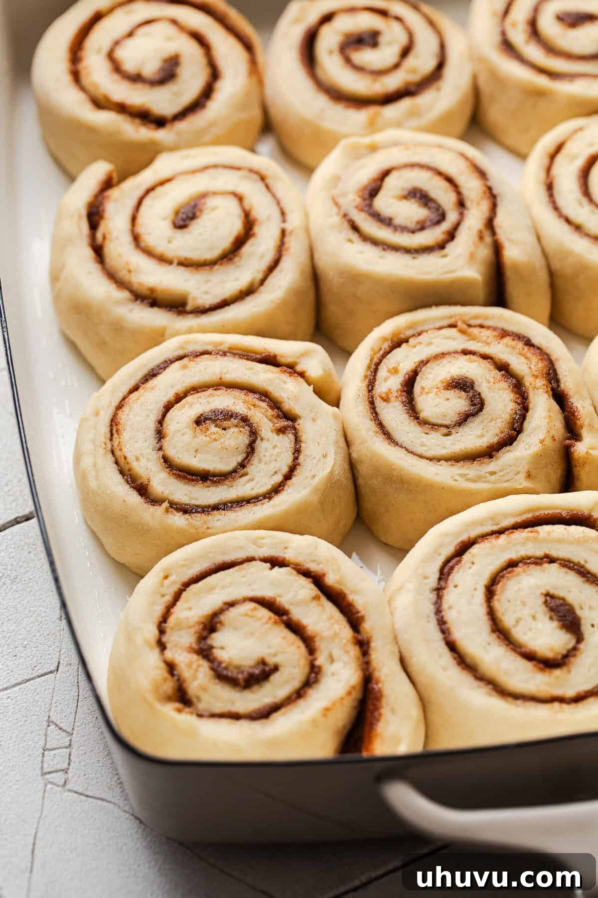 Tres Leches Drenched Cinnamon Buns 6 A baking dish filled with plump, risen tres leches cinnamon rolls, ready for baking.