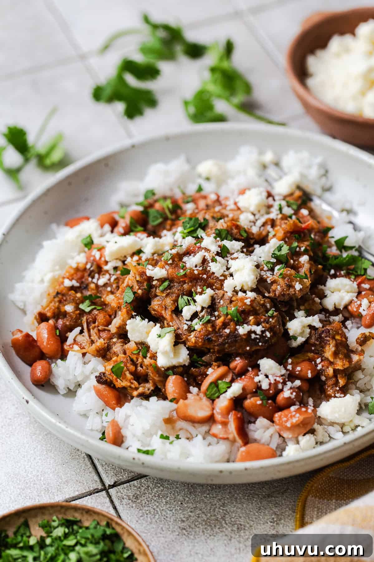 Morisqueta: Authentic Mexican Rice and Bean Dish Recipe 2 Morisqueta made from white rice, pinto beans, and pork ribs in salsa in a bowl garnished with chopped cilantro and queso fresco.