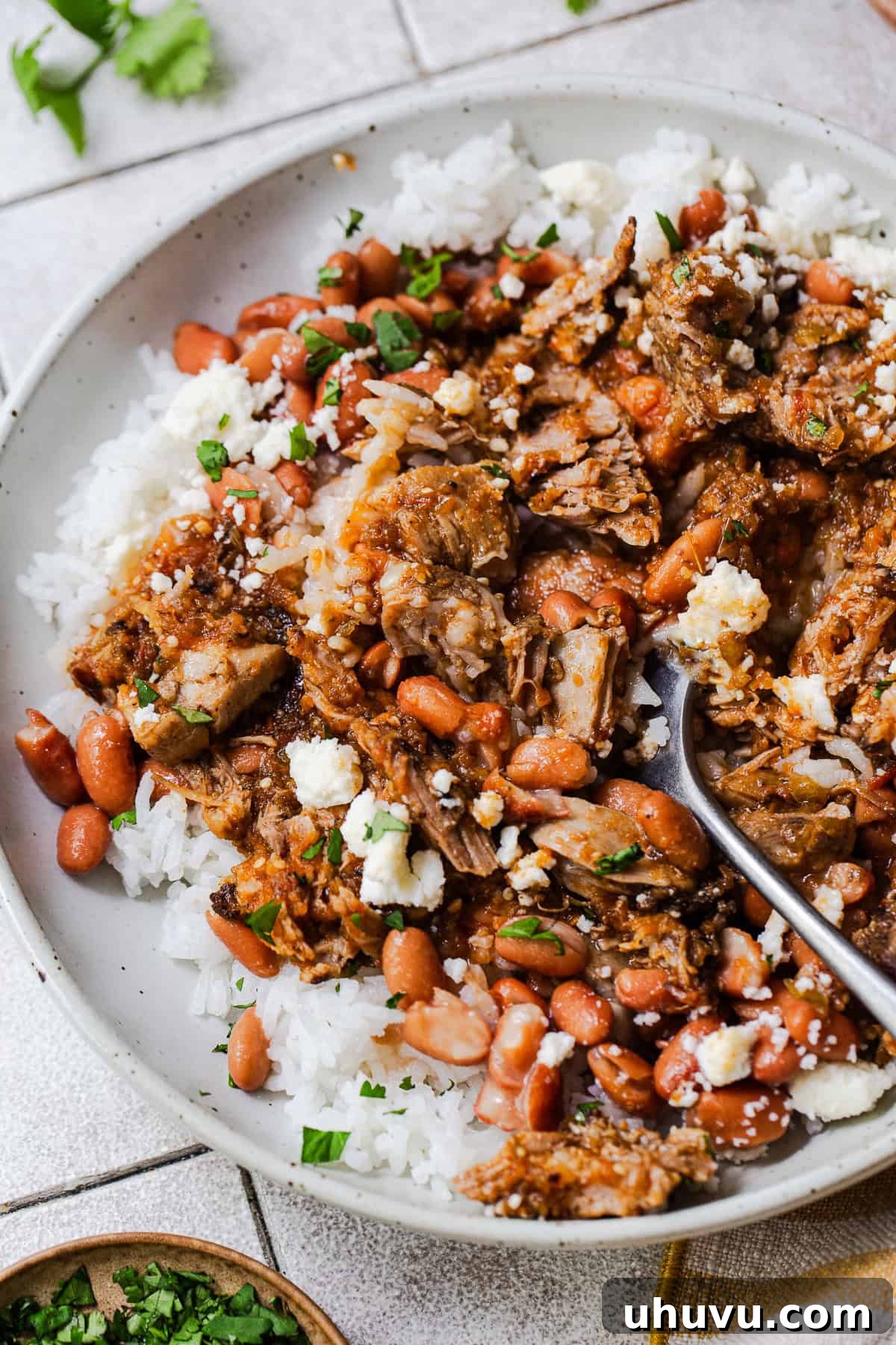 Morisqueta: Authentic Mexican Rice and Bean Dish Recipe 9 Morisqueta Michoacana in a bowl ready to eat.