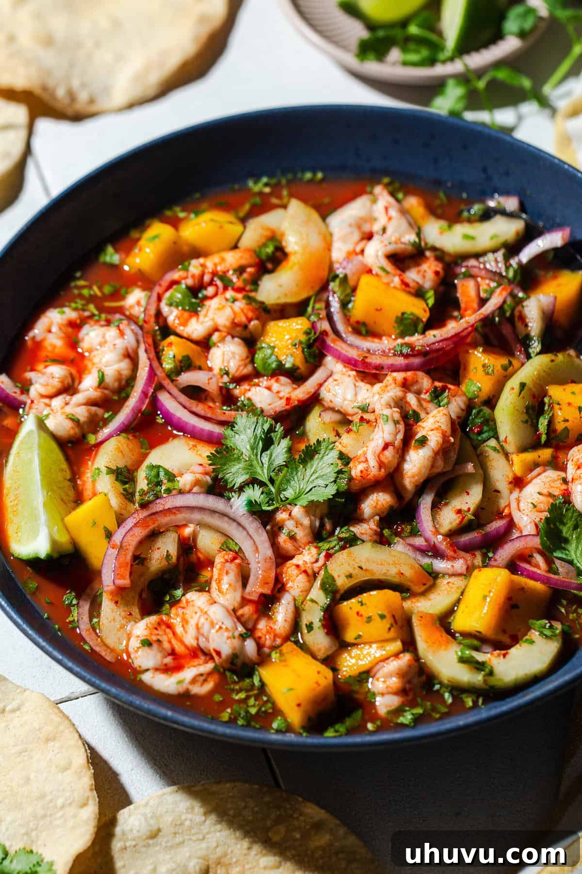 Red Aguachile with Shrimp and Fresh Lime 8 Close up of spicy aguachile rojo topped with cilantro and red onion.