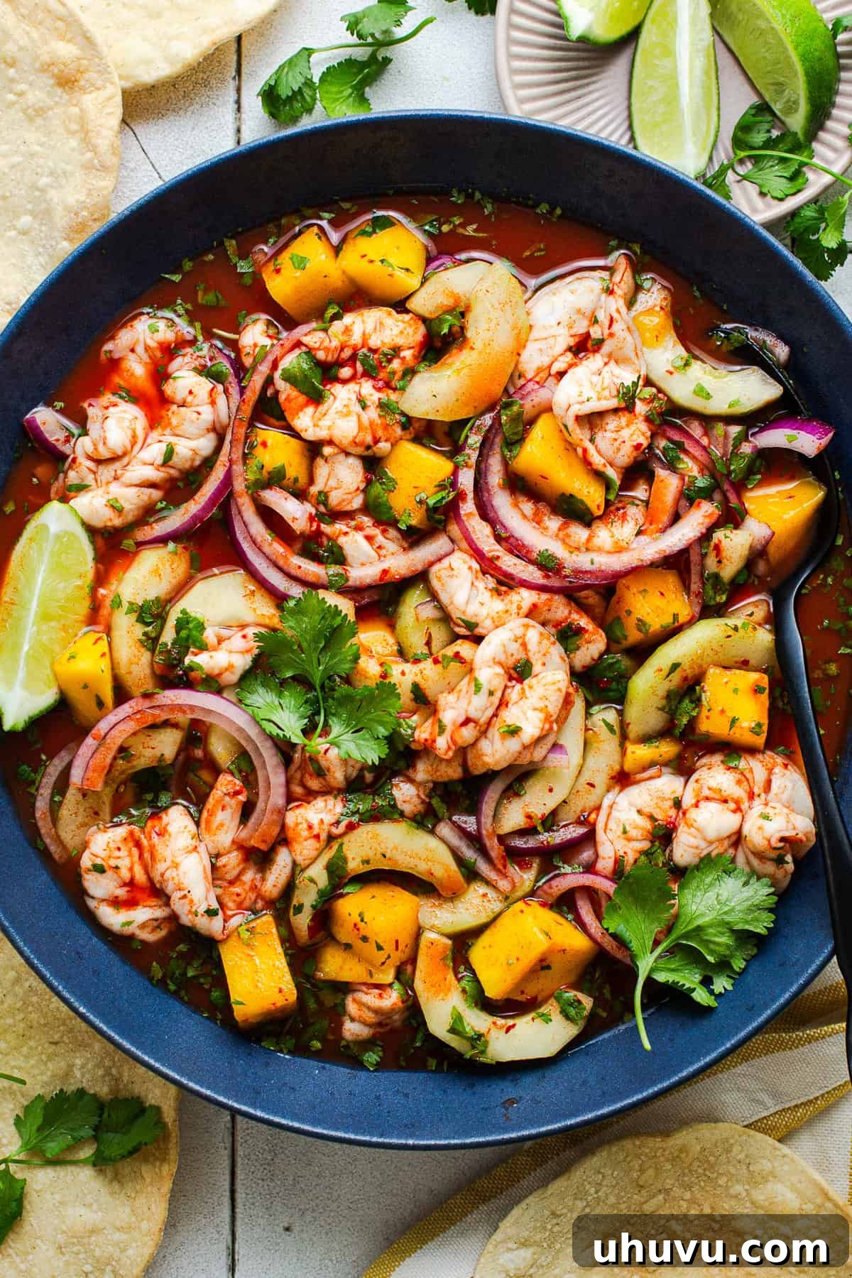 Red Aguachile with Shrimp and Fresh Lime 9 Aguachile rojo in a bowl with cucumber, mango, and red onion served with tostadas.