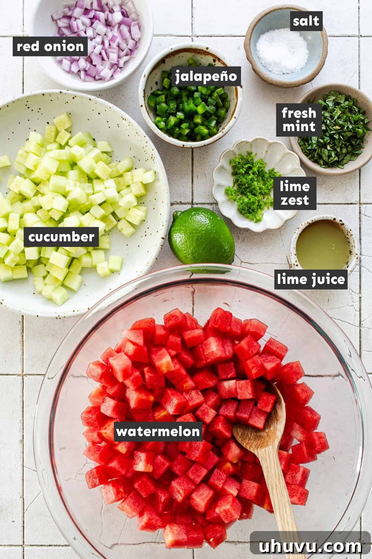 Refreshing Watermelon Salsa with Lime and Cilantro 4 Ingredients for watermelon salsa including diced watermelon, cucumber, red onion, jalapeño, lime, and mint.