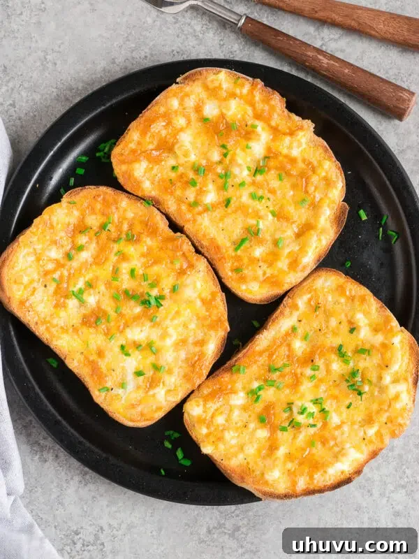 Cheesy Breakfast Quesadillas with Eggs and Salsa 11 cheese and egg toast on a black plate