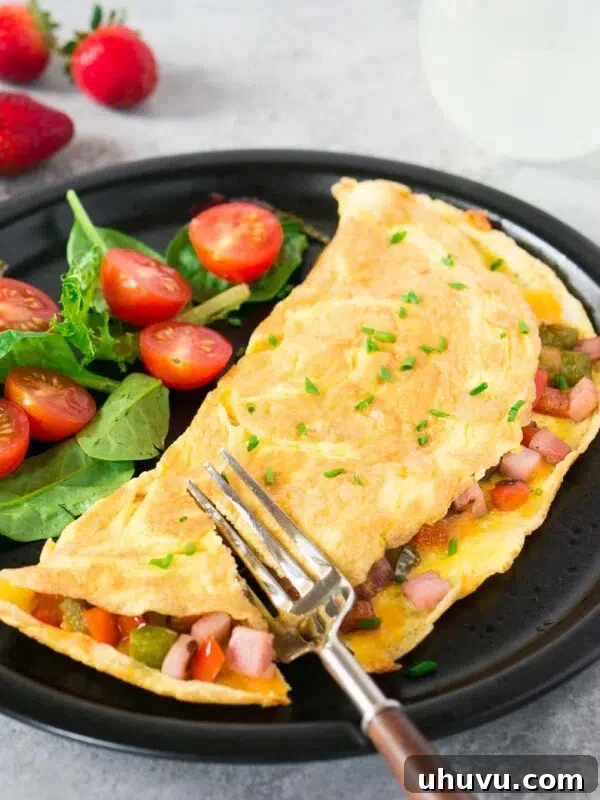Cheesy Breakfast Quesadillas with Eggs and Salsa 13 western omelet with greens and cherry tomatoes on a plate