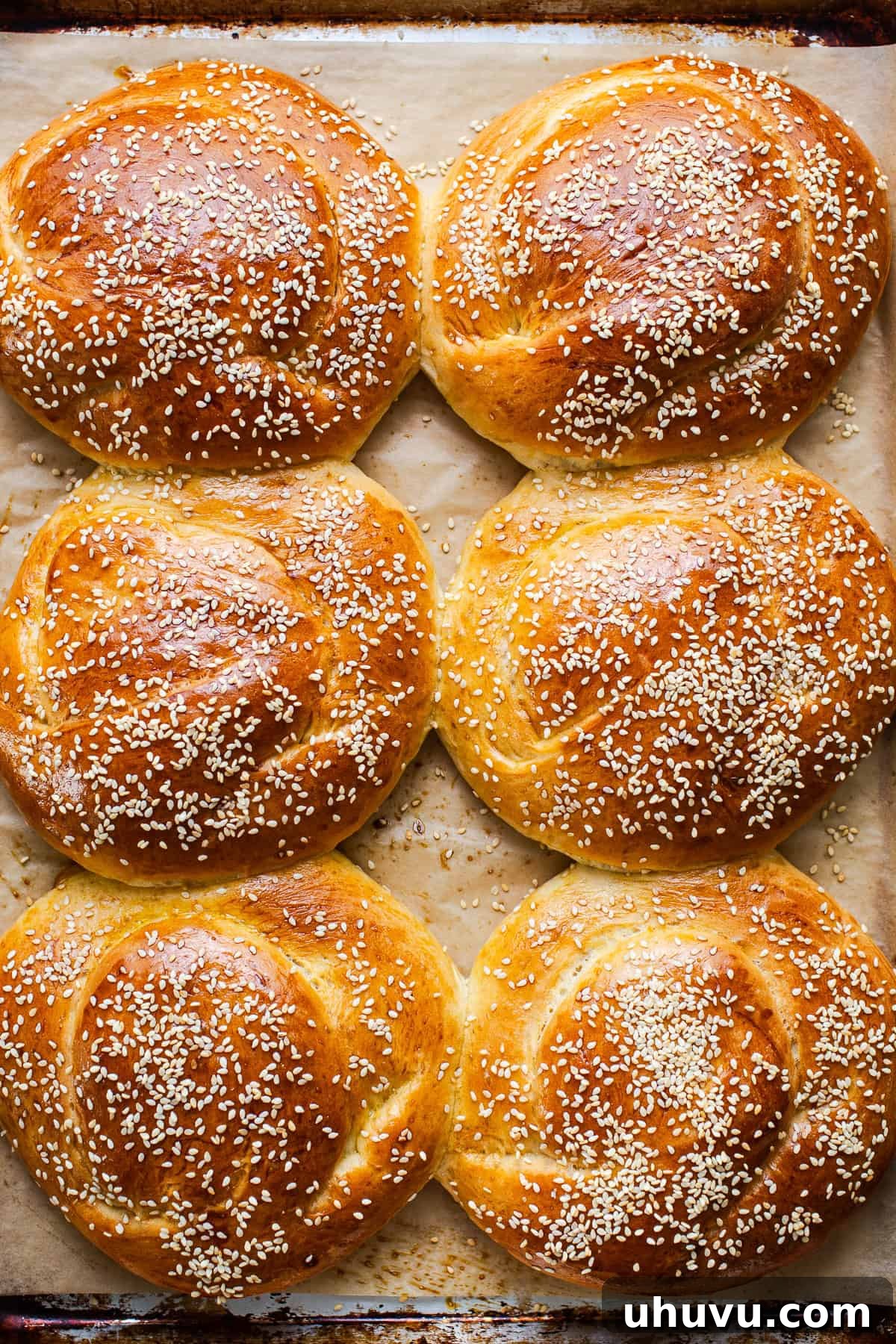 Authentic Cemita Buns: Mexican Sesame Sandwich Rolls 10 Golden baked cemita buns (mexican sesame bread) on a baking sheet